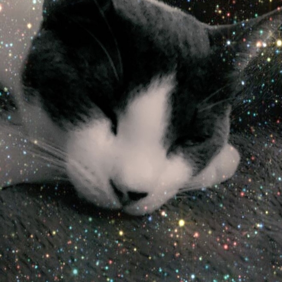 Meet your Posher, Oni Dero Design & Disney Personal Shopper - Picture 2 of 4